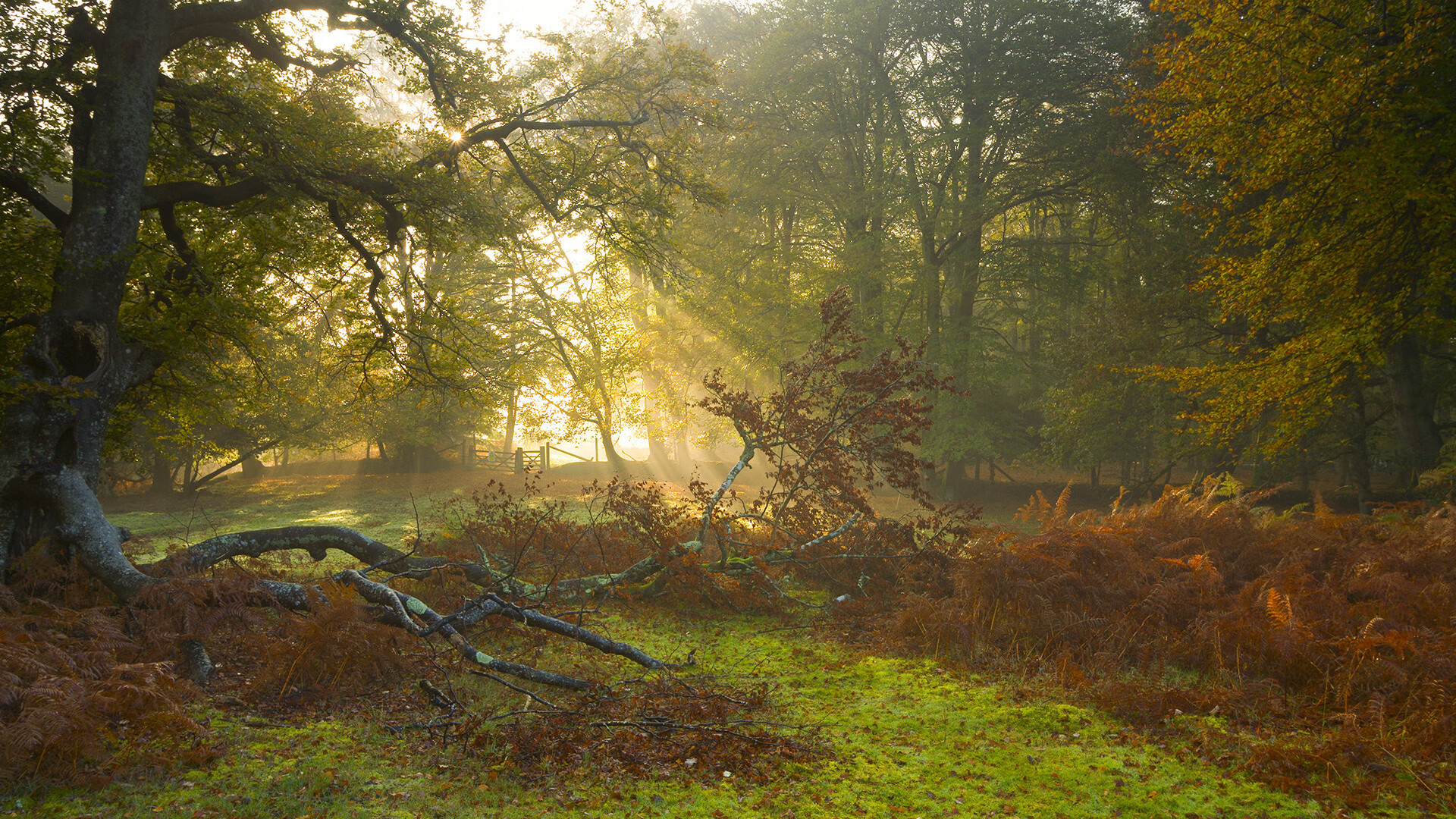 乐鱼体育线上-公牛队年轻球员挑战自我极限，公牛队选秀