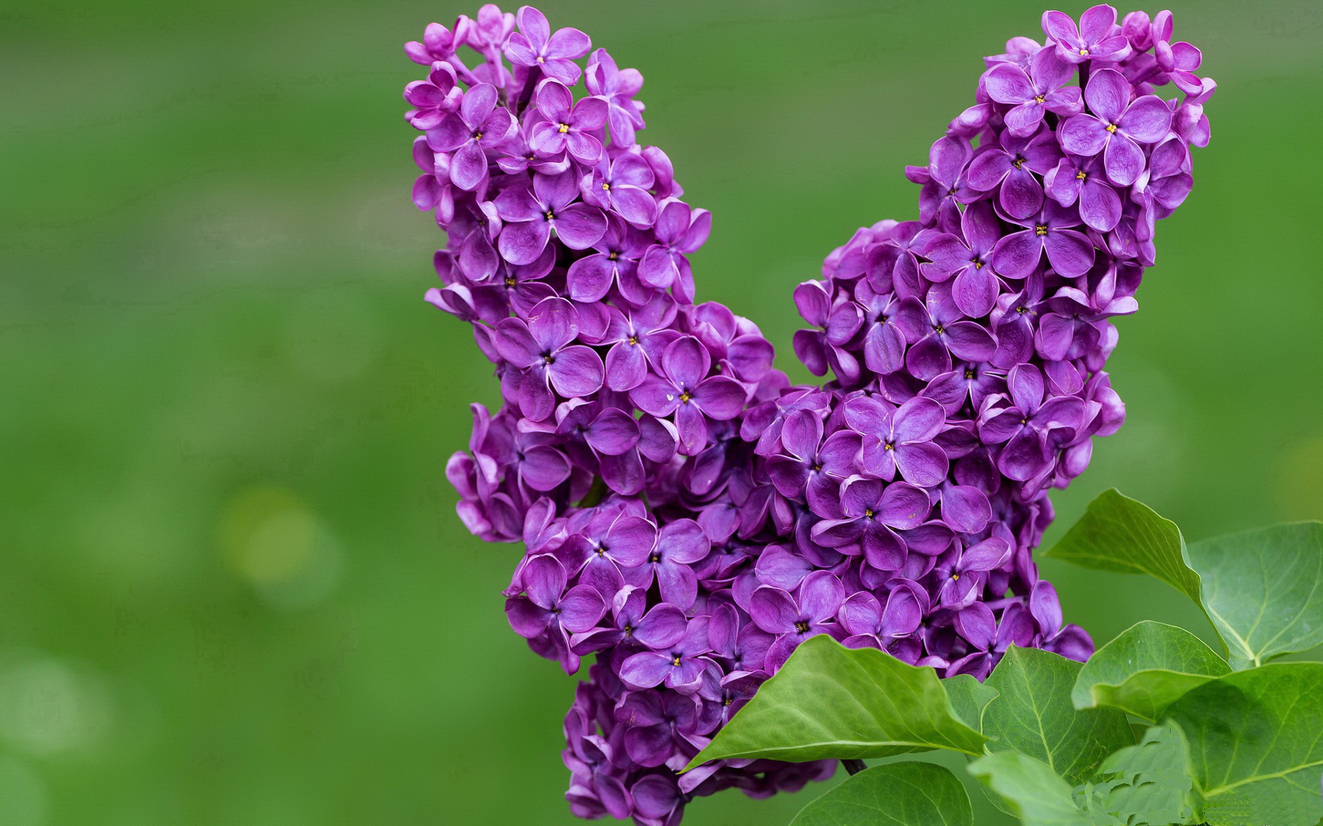 乐鱼官网-堡垒之夜联动漫威新英雄上线，堡垒之夜有哪些漫威装备