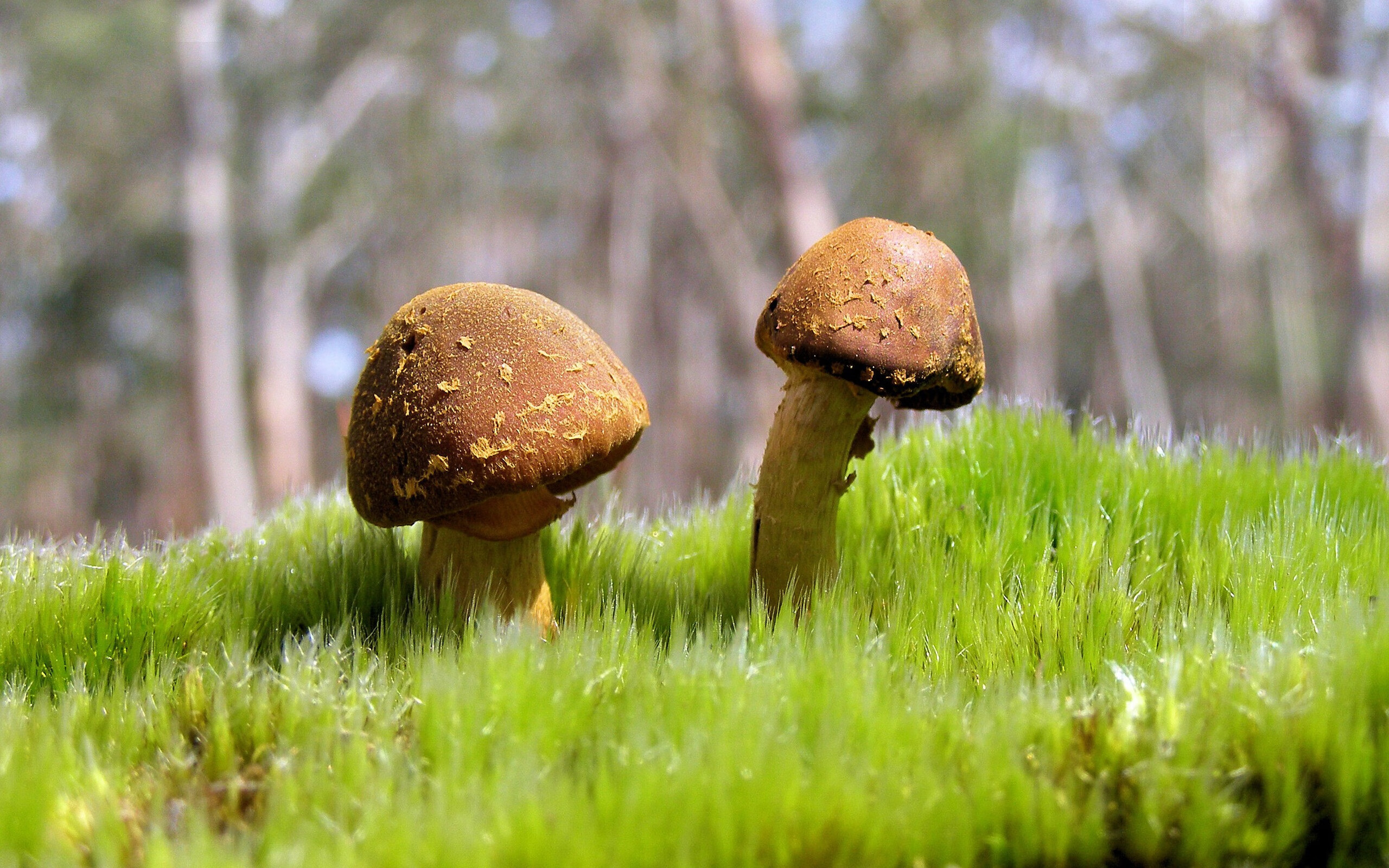 乐鱼体育平台-巴黎奥运会筹备进展顺利，巴黎奥运会备战