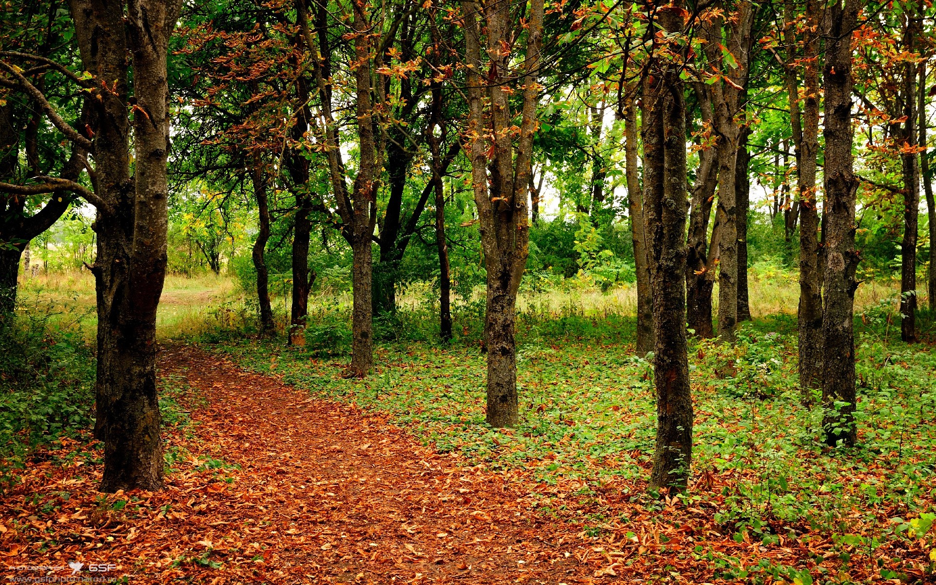 乐鱼APP下载-德国队连胜摩尔多瓦，实现小组赛五连胜，德国队还是倒在了莫斯科
