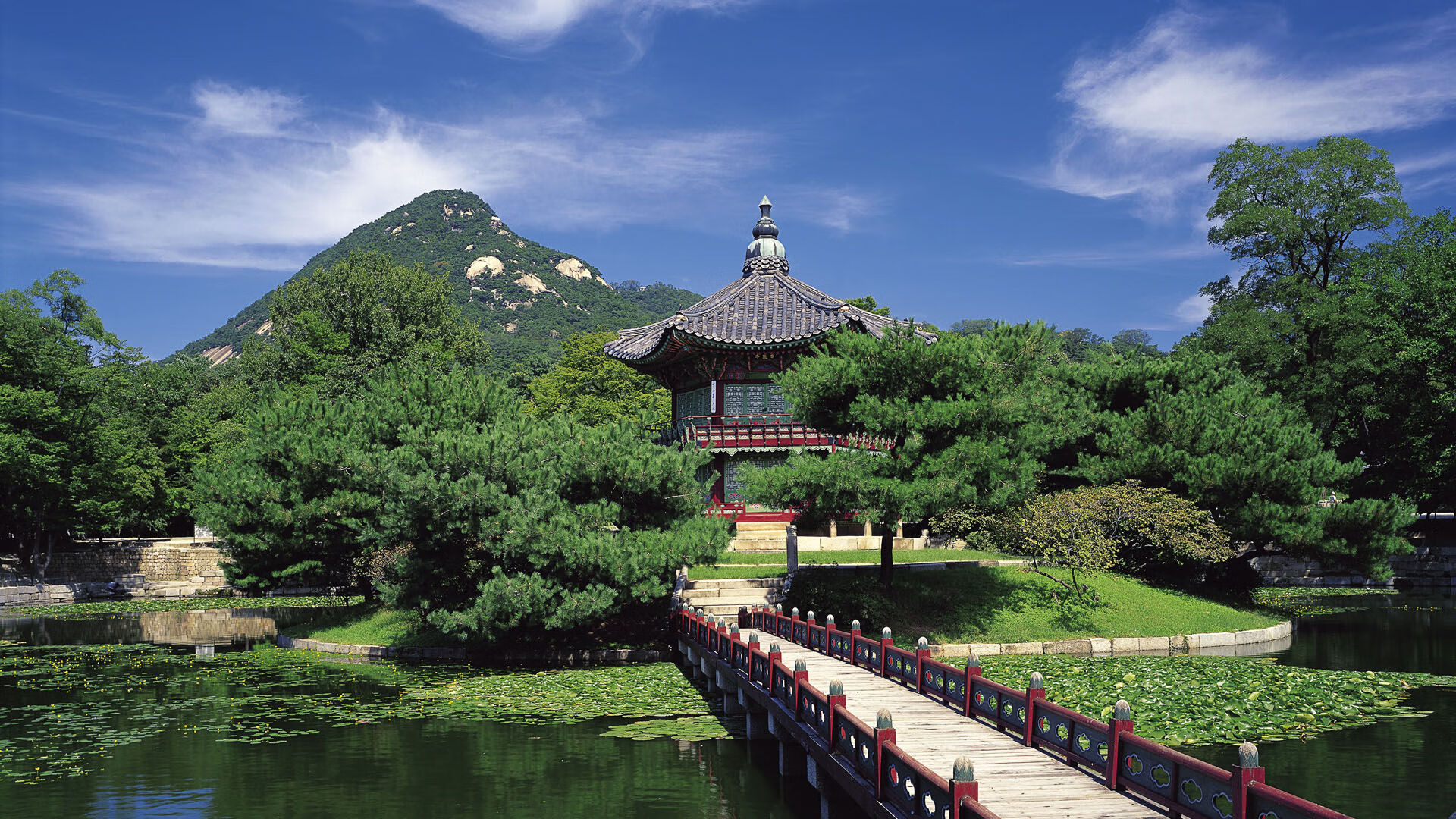 乐鱼登陆网站-悉尼FC再遭逆转，晋级形势不妙，悉尼fc对阵西悉尼流浪者预测