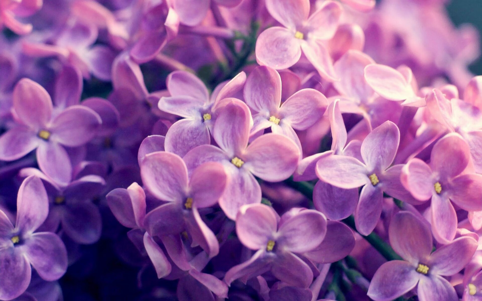 乐鱼vip 注册-运动员心理辅导项目开展情况，运动员的心理辅导