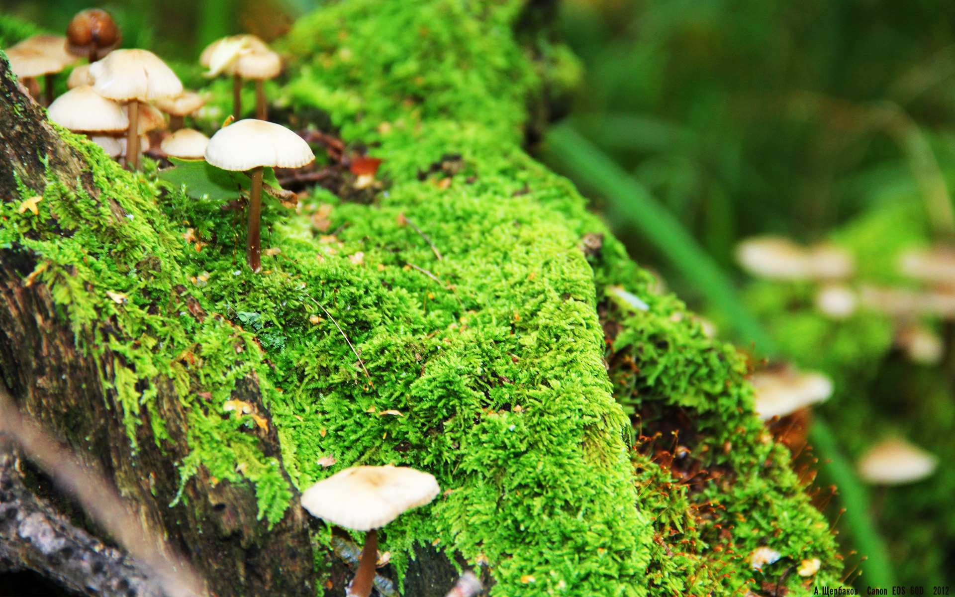 乐鱼体育线上入口-世界划手会师成都，共绘湖上竞技图