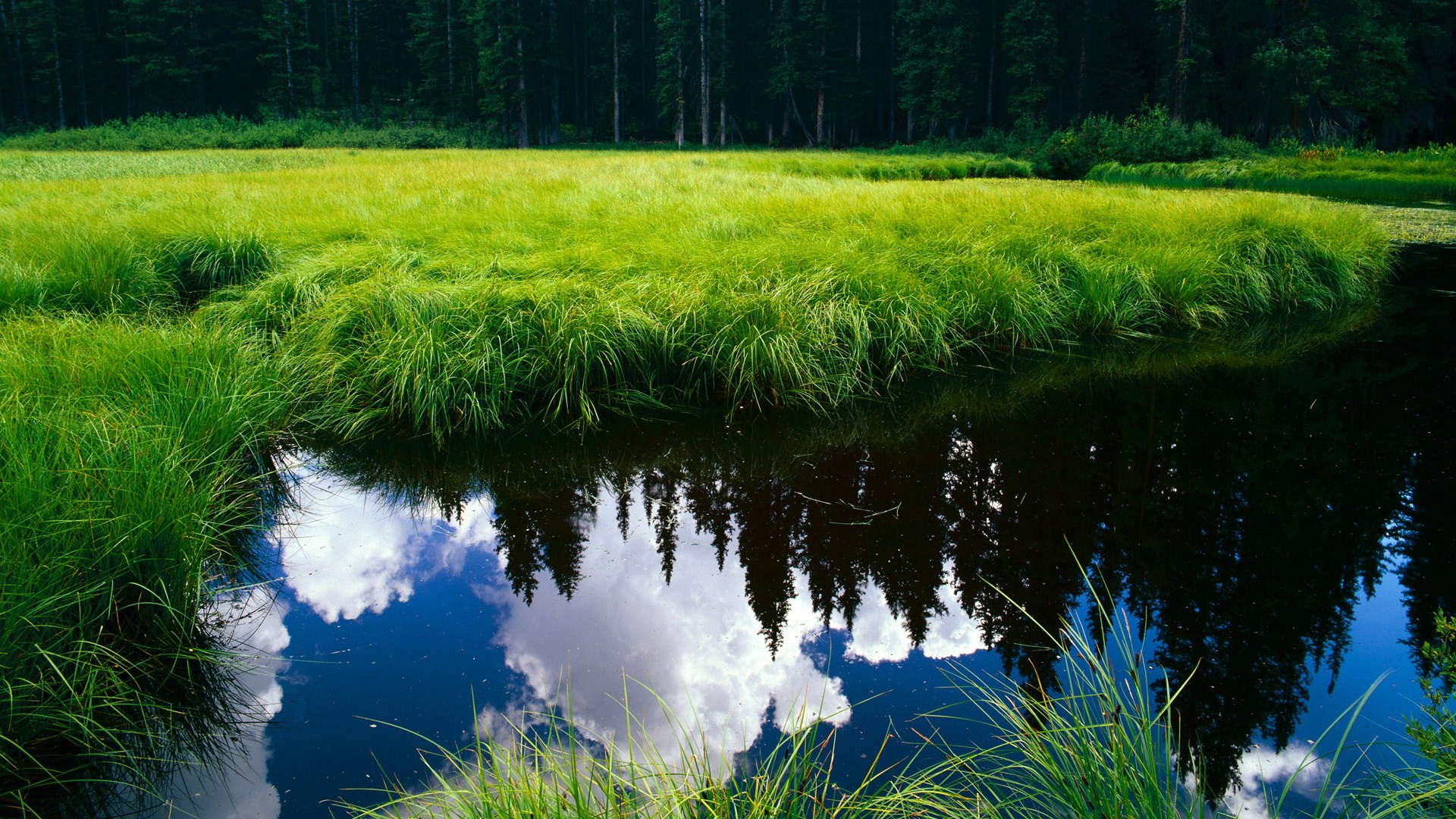 乐鱼官网-美国乒乓队的未来：如何通过增强心理素质克服比赛压力，美国人 乒乓球