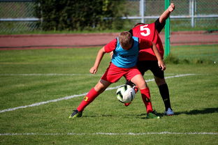 乐鱼vip 注册-南美青年锦标赛,哥伦比亚队展示青春盛宴,目标奥运门票,南美 哥伦比亚