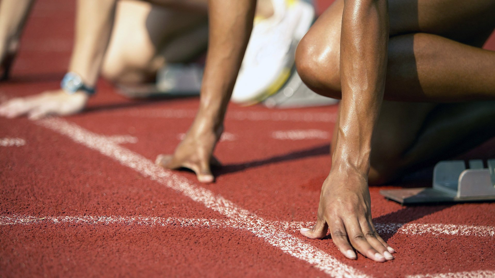 伊朗马术协会与欧洲马术协会签署合作协议，共同举办国际赛事。